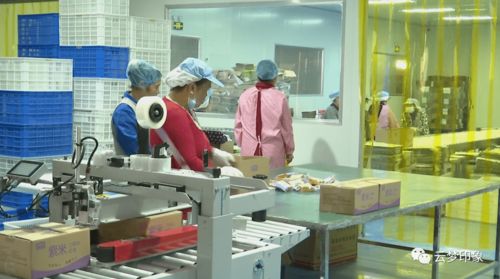 云梦经济开发区 以完善服务体系为抓手，实现政企双赢的信息系统运行维护新篇章