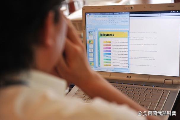 智慧护航，数据赋能 《2025年度大理州强制隔离戒毒所机关信息系统维护服务项目》透视
